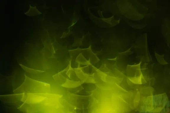 Billion Casino Tacaíocht